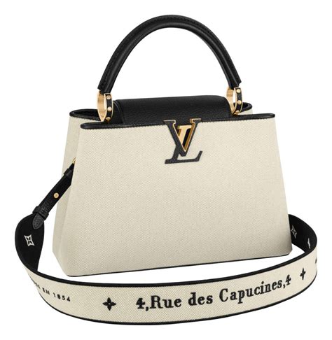 lv capucine bag price|louis vuitton capucine bag price.